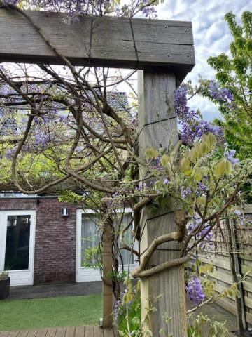 B&B Schiphol Amsterdam Rijsenhout Exteriör bild